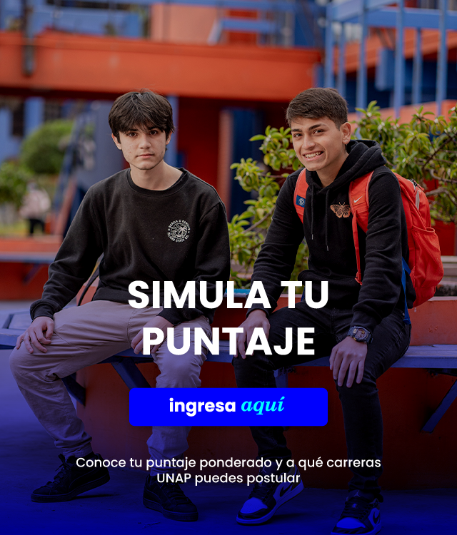 Simulador Puntajes